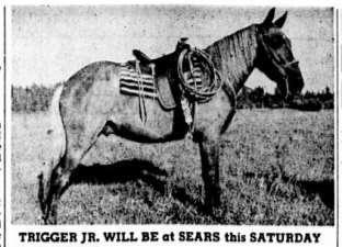 Read more about the article Cool Pony = Ugly Clothes